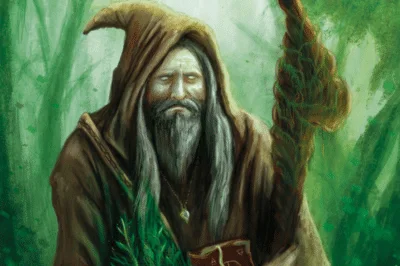 Illustration : vieux sorcier barbu en robe brune, un bâton noueux à la main, dans une forêt verte