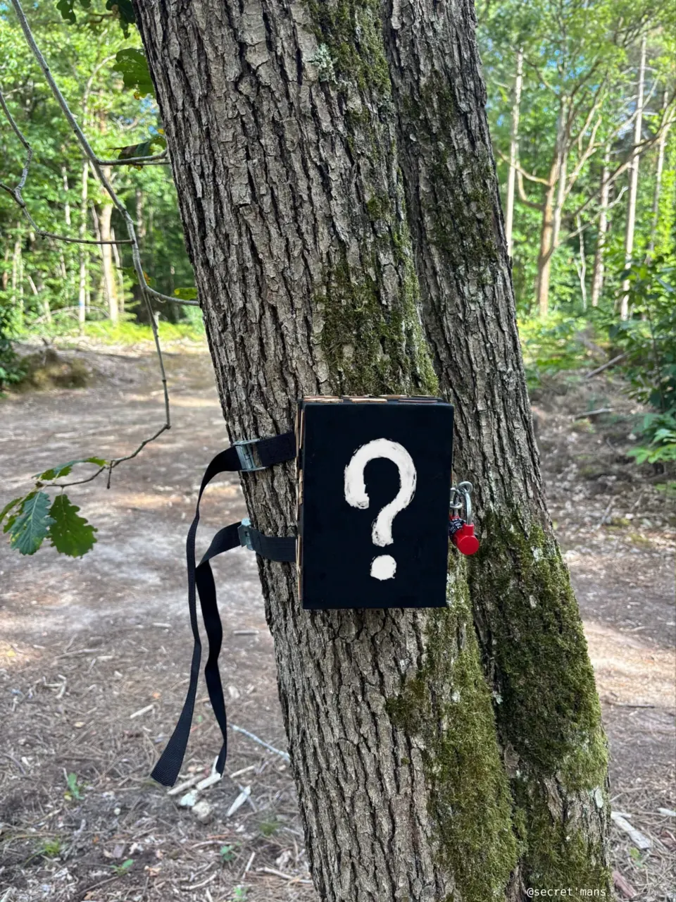 Panneau point d'interrogation accroché à un arbre