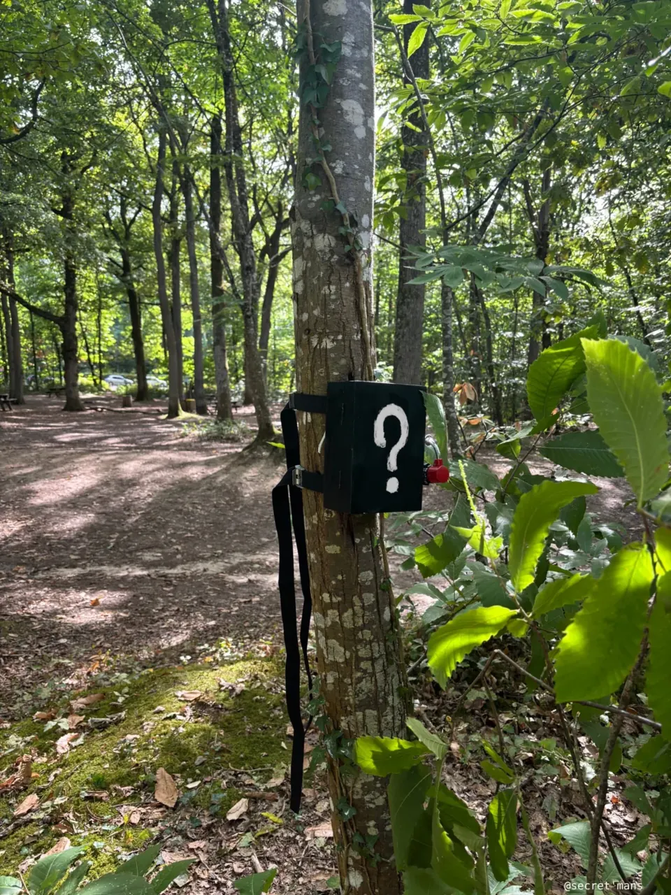 Balise point d'interrogation dans une forêt